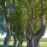 Le Clos Chalmon D'hote Montignac-Lascaux